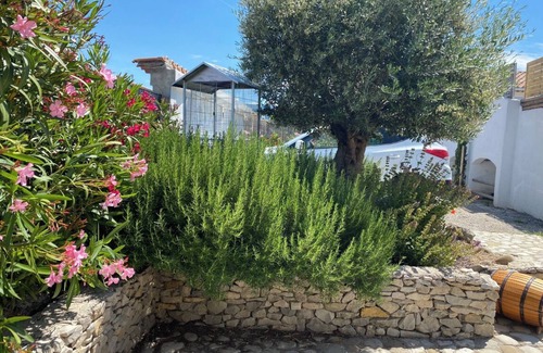 Peipin Apartment | Le palmier 4 * Studio Cocooning with exterior and swimming pool. Pets allowed