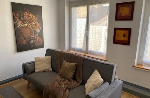 Sancerre Apartment | Le Piton - Appartements