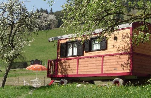 Mitzach Ski Chalet | Le Repaire de Mitzerlé