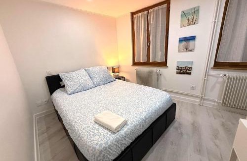 Belfort Apartment | Le Repaire du Lion - Quadruplex - 10 voyageurs