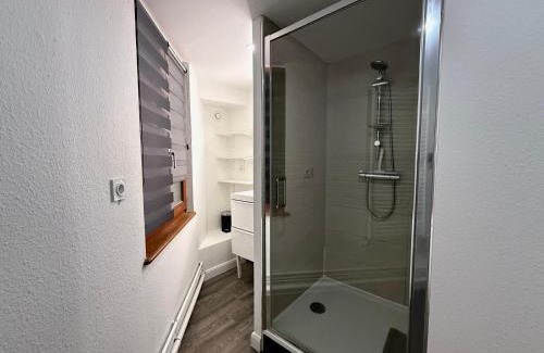 Belfort Apartment | Le Repaire du Lion - Quadruplex - 10 voyageurs