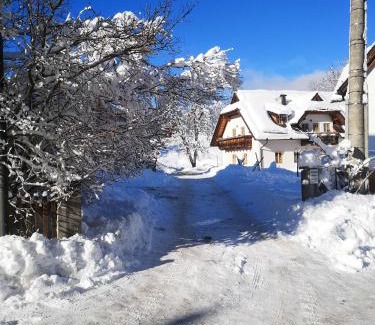 Tarvisio Apartment | Le Residenze di Rutte