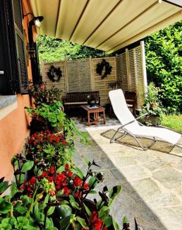 Mango House | Le rose di Mapi