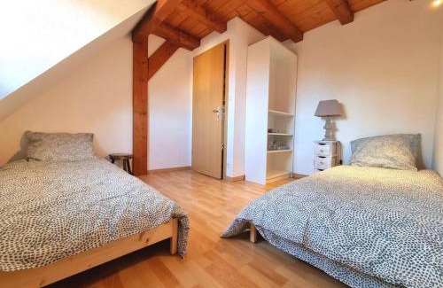 Ensisheim Apartment | LE SCHMOUTZ: Charmant duplex entre Colmar et Mulhouse (1-4 pers)