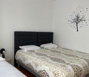 Longeville-les-Metz Apartment | Le Stade Metz 1 Wifi Un Séjour à Part