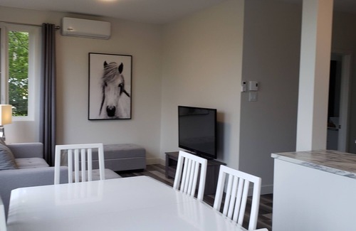 Chicoutimi Apartment | Le Tcheko Timi 3 rooms downtown Chicoutimi