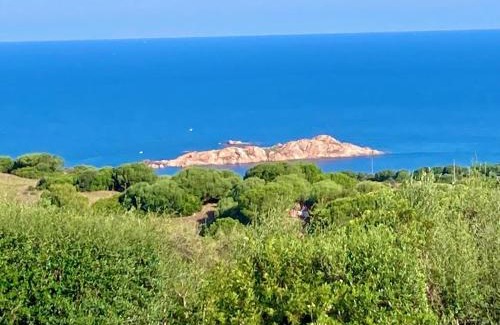 Paduledda Apartment | Le Verande di Isola Rossa