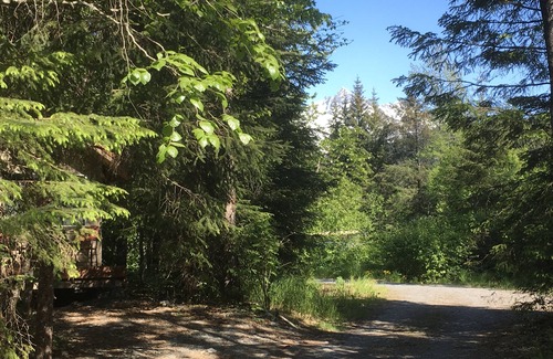 Bear Creek Cabin | Leafy & Enchanting Fern Cabin6 W/Queen Bed