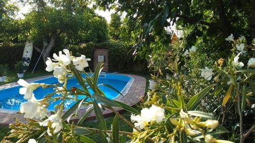 Balatonlelle Apartment | Leander Apartman
