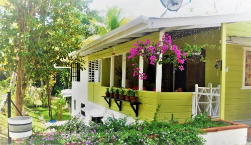 Trinidad Cabin | Leatherback Lodge Eco B&B