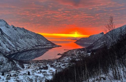 Torsken Apartment | Leilighet i rorbu på Kaldfarnes - Yttersia Senja