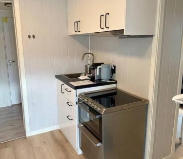 Lillehammer Apartment | Leilighet i under etasje