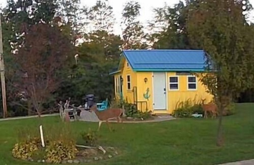 Madison-on-the-Lake Cabin | LEMON DROP LAKE FRONT COTTAGE