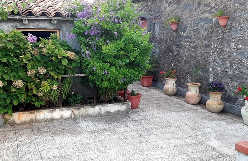Coste House | Leopin House open your eyes and fly beyond the sea