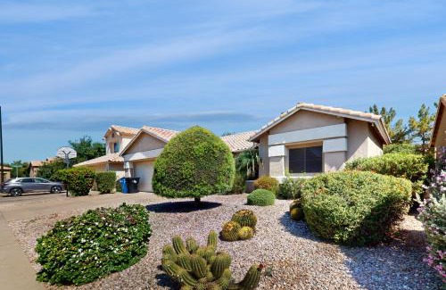 Gilbert House | Leo’s Pool & Park House