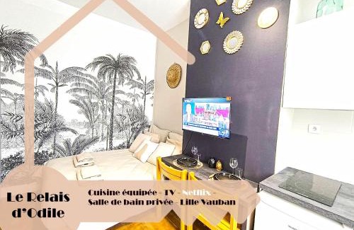 Vauban Esquermes Apartment | LeRelaisdOdile - Apparts Conforts - LILLE