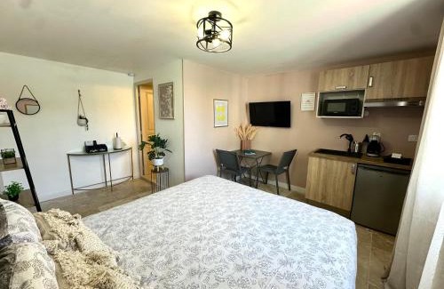 Saint-Laurent-d'Aigouze Apartment | Les Appartements du Mas - Studio Ambre