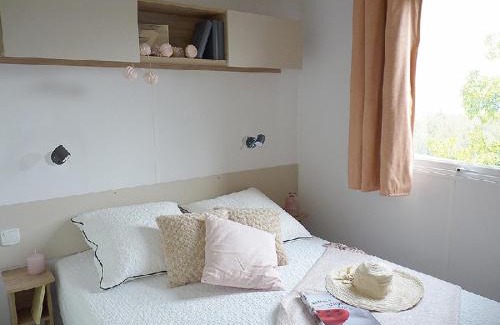 Saint-Julien-en-Born Other | Les Dunes de Contis