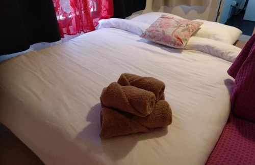 Arad Apartment | LeSaNel Guest House 3