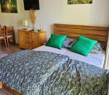 Hamry Apartment | Lesní apartmán Hamry