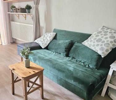 Hamry Apartment | Lesní apartmán Hamry