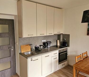 Hamry Apartment | Lesní apartmán Hamry