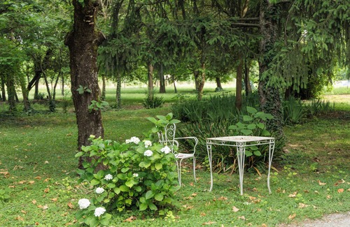 Roncopascolo Villa | Library room in a 19th-century villa