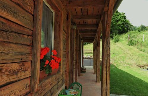 Magyarkut House | Liget Vendégház