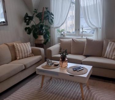 Alesund Apartment | Light terrace city apartment Alesund