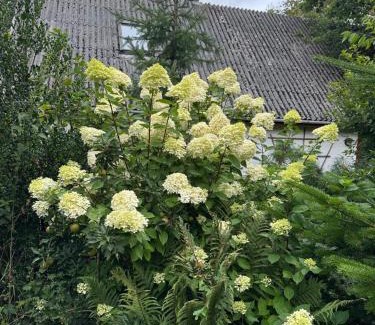 Degnbøl House | Lille Degnbøl