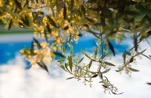 Rethymno Villa | Lily's cottage, secluded, sea view villa with private pool and gardens. 193668