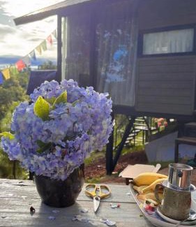 Dak Mil House | Lily's Stone Garden