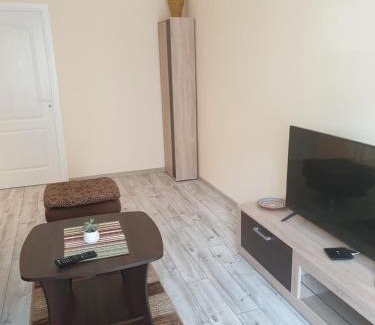 Druskininkai Apartment | Lima C