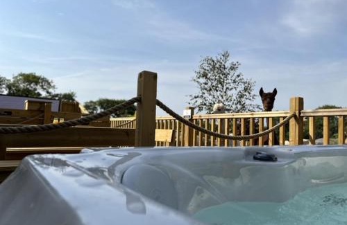 St. Florence Other | Lion King Safari Tent