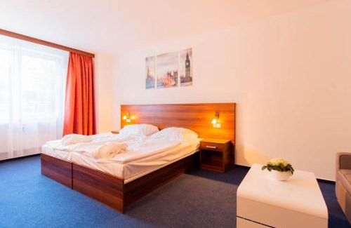 Frymburk Apartment | LIPNO WELLNESS - FRYMBURK C112 private family room