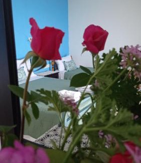 Lukove Apartment | Lirim Shenmiter Lukove