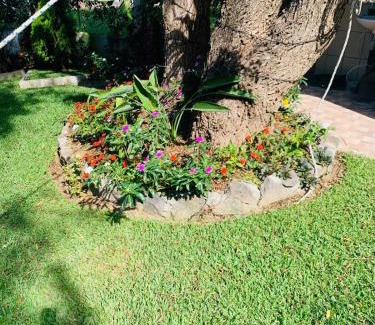 San Lucas Toliman Apartment | Little Bay of Sam Jose