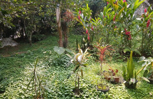 Jacuecanga House | Little corner of Pará