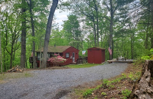 Rileyville Cabin | Little Red Wolf - A charming, cozy cabin on the Shenandoah Ridge.