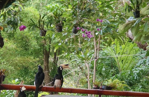 Ranong House | Littleduck bungalow Koh Chang Ranong