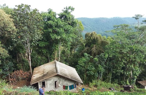 Puwakpitiya House | LIVE IN A TEA ESTATE : QUIET : GREEN : FOREST AT HIGH ELEVATION : SPLENDID VIEWS