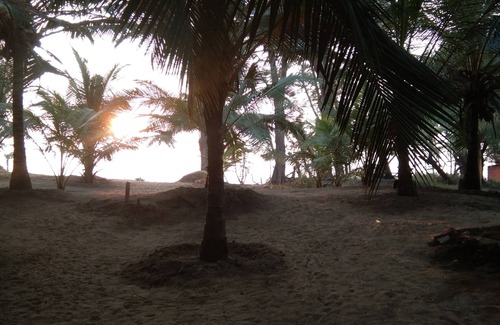 Malvan House | Live young, live free.