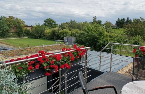 Freinsheim House | Lively apartment in Freinsheim