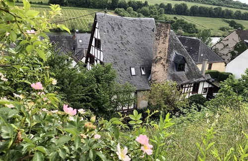 Merl Apartment | Living in a listed Winzerhof, Stylish gallery apartments