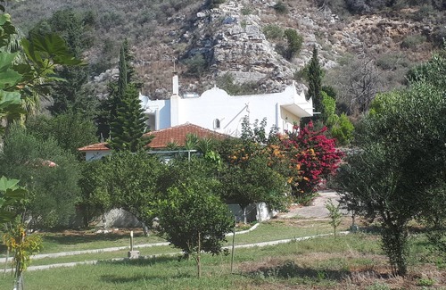 Larissos Villa | LIVING IN NATURE VILLA 200 m2.,4 bed 3 baths in 12.000 m2 field.
