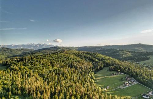 Lapsze Nizne Villa | LK Forest Villa luksusowe domy z basenem z jacuzzi, sauną, grotą solną, salą bilardową i ogrodem