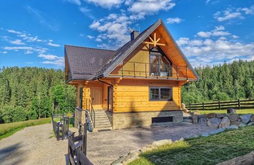 Lapsze Nizne Villa | LK Forest Villa luksusowe domy z basenem z jacuzzi, sauną, grotą solną, salą bilardową i ogrodem