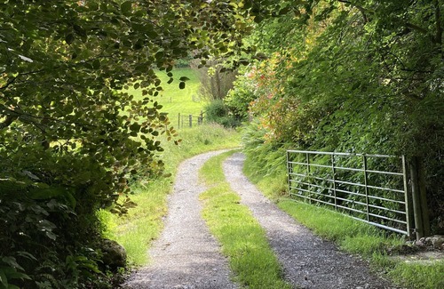 Whitland House | Lletty Bach - pet stays free - detached - parking - ideal location to explore