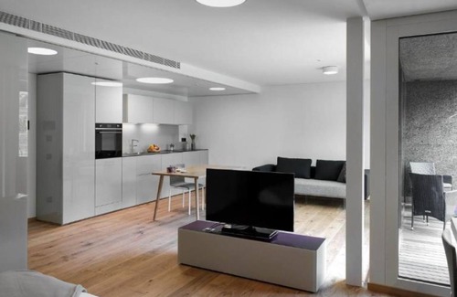 Stabio Apartment | Lo Scudo di Stabio - 50 m² vineyard view SST