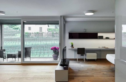 Stabio Apartment | Lo Scudo di Stabio - 50 m² vineyard view SST